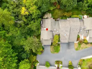 Bird’s-eye: your home in the forest.