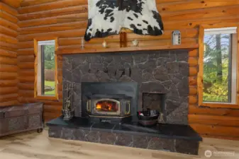 Wood Burning Stove
