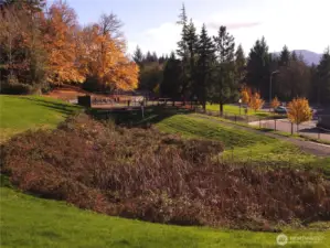 Pickleballers pickleballing.  Swale with some native plants.