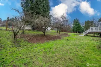 Fruit-bearing persimmon, apple, and pear trees create a charming and functional landscape