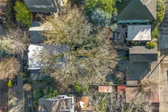 From above, the depth of the lot and generous additional parking beside the detached garage are easy to see. The shingle roofs were recently professionally cleaned for added peace of mind.