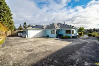 Low maintenance yard