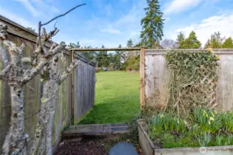 Backyard gate opens to grassy park like area