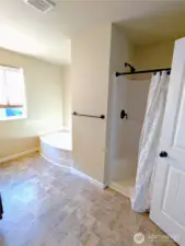 Shower in master bath