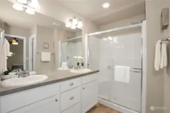 Primary Bathroom with walk-in shower.