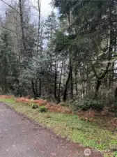 Looking South at Property