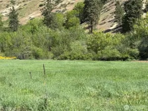 Approx middle of 14+ acre lot