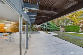 Low maintenance yard