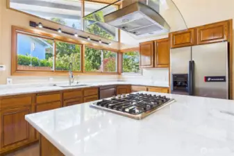 Updated kitchen with SS appliances