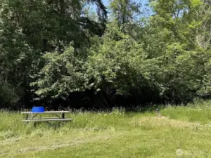 open area