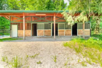 Beautiful Barn with three stalls and fenced sandy padock