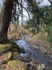 Creek on property put house sits up high so no worries about flooding.