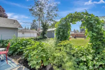 Lush green backyard is the perfect place to garden.