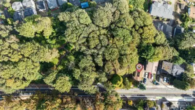 Rooted in Nature, Centered in the City — From above, you can see the home nestled into the wooded edge of Lewis Park, shielded by trees yet set on a quiet, walkable block. A true in-city retreat, with access to trails, transit, and everything Seattle has to offer.
