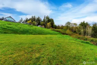 from lower half looking toward upper section and neighboring lots/houses