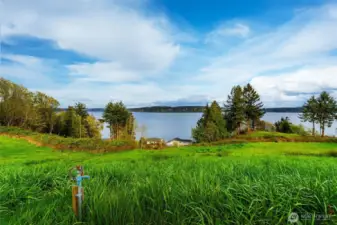 Spigot at top half of lot looking North East