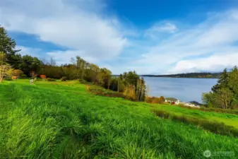 top half of lot looking North