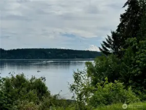 View of Mt Rainer from the street at bottom of property.
