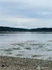 View of Mt Rainier from shore of community beach