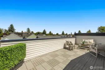 Rooftop retreat offers sweeping treetop and neighborhood views ideal for summer evenings.