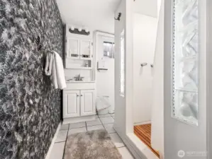 Lower level Bathroom