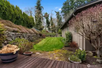 Private back patio