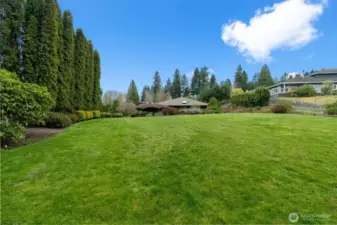 Meticulously maintained yard