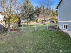 Fantastic backyard for animals.  Chicken coop (not pictured on the other side of the home)