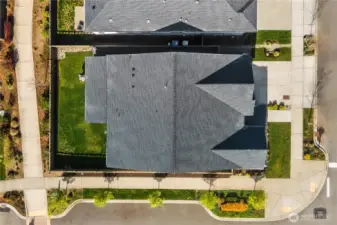 Birdseye View