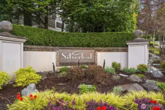 One of the best neighborhoods in Lakemont!