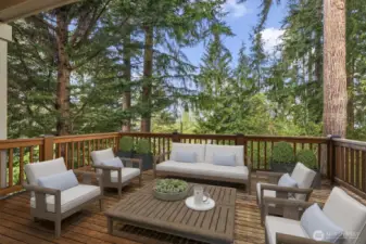 Virtually-Staged time to chill on the deck!