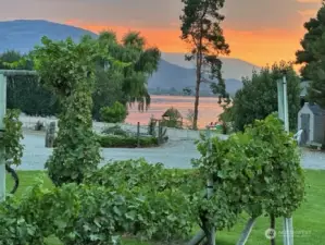 More sunsets