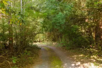 Driveway to back of home