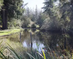 Watch the wildlife and enjoy the many species of birds.