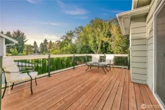 Large deck can be accessed from one of the main level bedrooms or from the kitchen