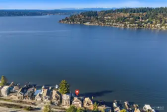 Nestled on a quiet private lane near the trail to Coulon Park, and minutes from Bellevue and Seattle, this is lakeside living without compromise.