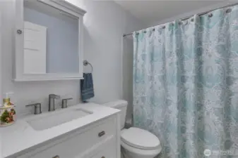 Hall/Guest bath