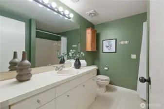 Lower Floor Bathroom