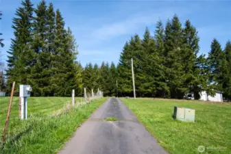 Driveway