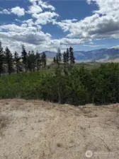 SE view