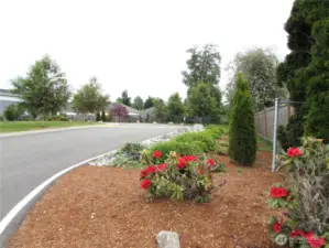 Fenced Dog park is steps away from home.