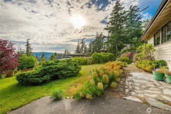 Beautiful Side Yard