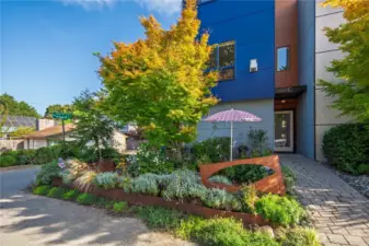 Big corner lot with mature garden