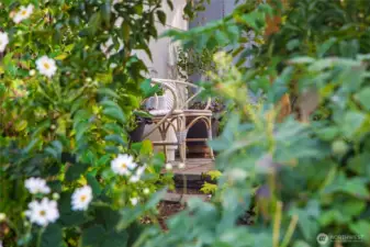 Beautifully crafted gardens with a meandering path through them