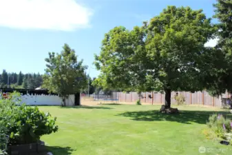 Park like back yard.