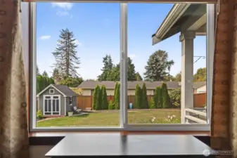 Backyard view from livingroom