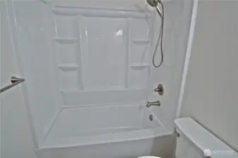Main Bathtub and Shower