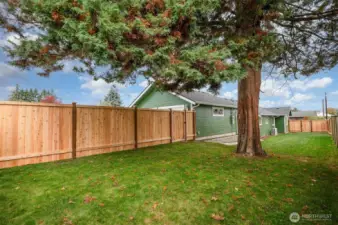 NEW fully-fenced yard!