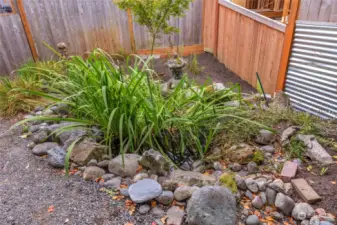 Small water feature or whatever you decide to do with this super sunny spot.