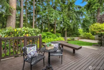 Beautiful decks to soak in the sun.